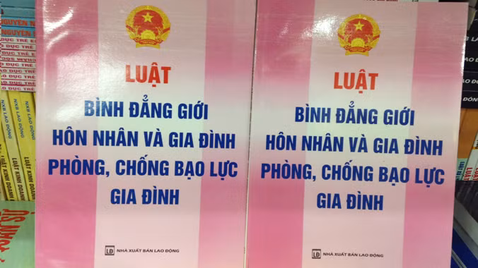 Vì sao khó xử lý đối tượng bạo hành? ảnh 1