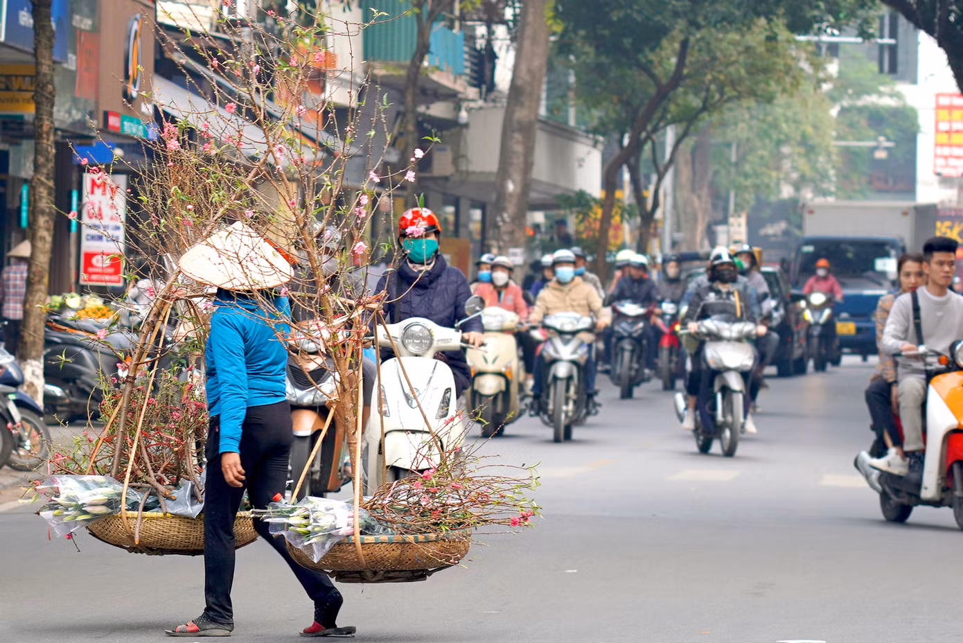 Đối với người dân Hà Nội, ngắm hoa trên phố Hàng Lược vào mỗi dịp xuân về như một thú vui tao nhã. Càng ngày, những thứ xưa cũ càng mai một nhưng chợ hoa Hàng Lược vẫn có sức sống bền bỉ, xen lẫn hiện đại và nét hoài cổ hiếm nơi nào có được.