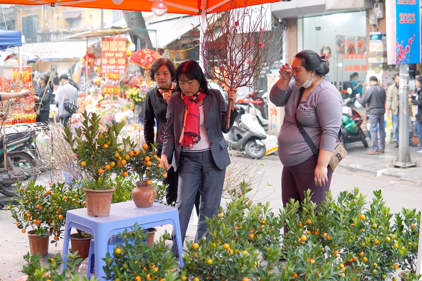 Hà Nội có nhiều chợ hoa truyền thống, chợ hoa Xuân nhưng trong lòng nhiều người, chợ hoa Hàng Lược luôn có chỗ đứng riêng.