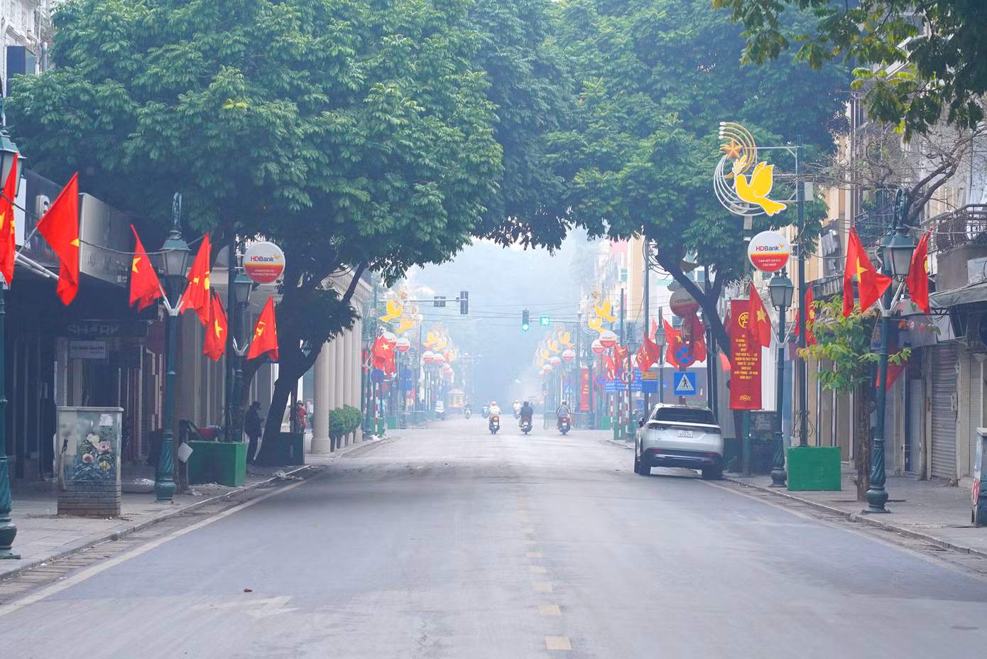 Hàng cây "chụm đầu" tĩnh lặng trên phố Tràng Tiền.