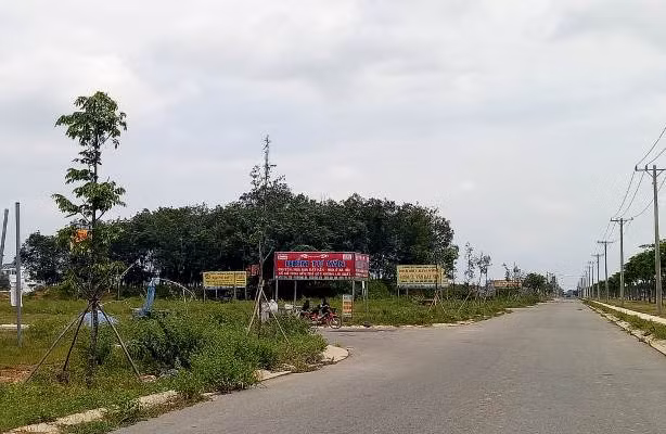 Bình Dương nở rộ phân lô, bán đất nền trái luật ảnh 3