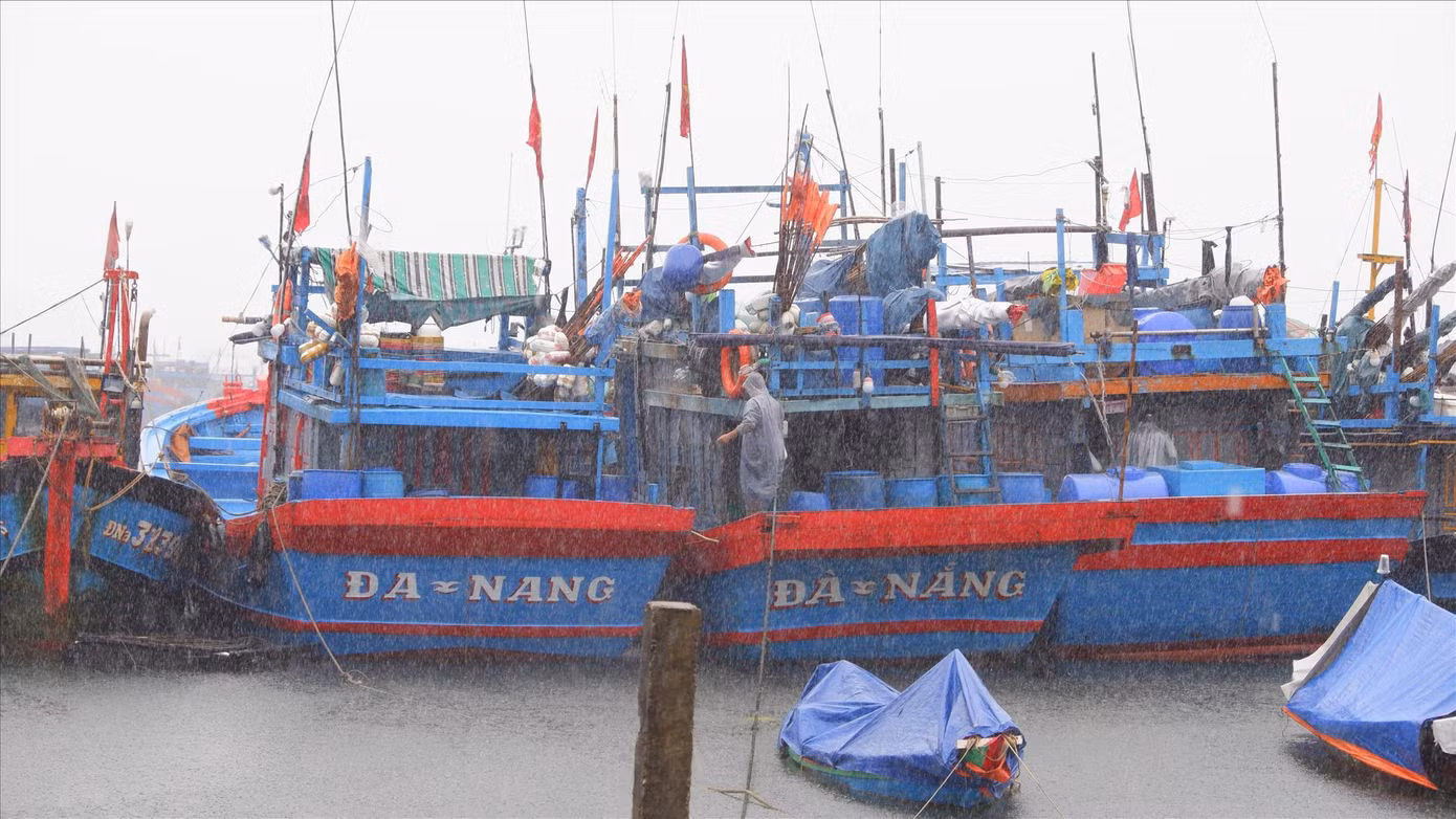 Ngư dân Đà Nẵng dầm mưa neo đậu tàu thuyền tại âu thuyền Thọ Quang. Ảnh: Nguyễn Thành