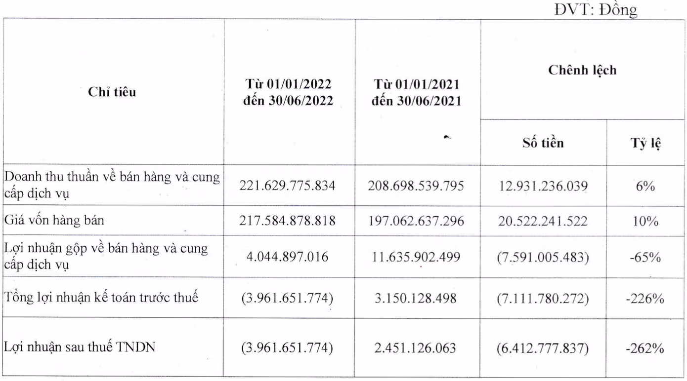 Kết quả kinh doanh 6 tháng đầu năm của CFV.