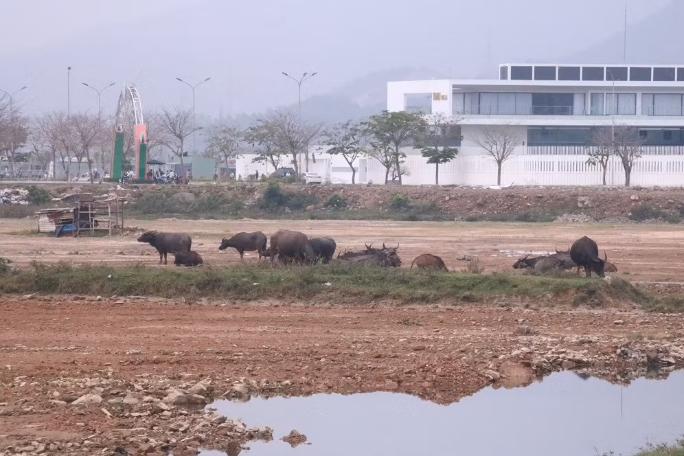 Bên trong dự án 'đắp chiếu' bất ngờ được tăng vốn 'khủng' ảnh 8