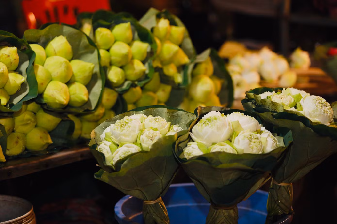 Chợ hoa lớn nhất Hà Nội có đa dạng các loại hoa khác nhau như hoa hồng, hoa cúc, hoa hướng dương, hoa sen, cẩm tú cầu… Các loại hoa đến từ nhiều vùng lân cận của trung tâm Hà Nội như: Phúc Yên, Gia Lâm, Đông Anh, Tây Tựu…