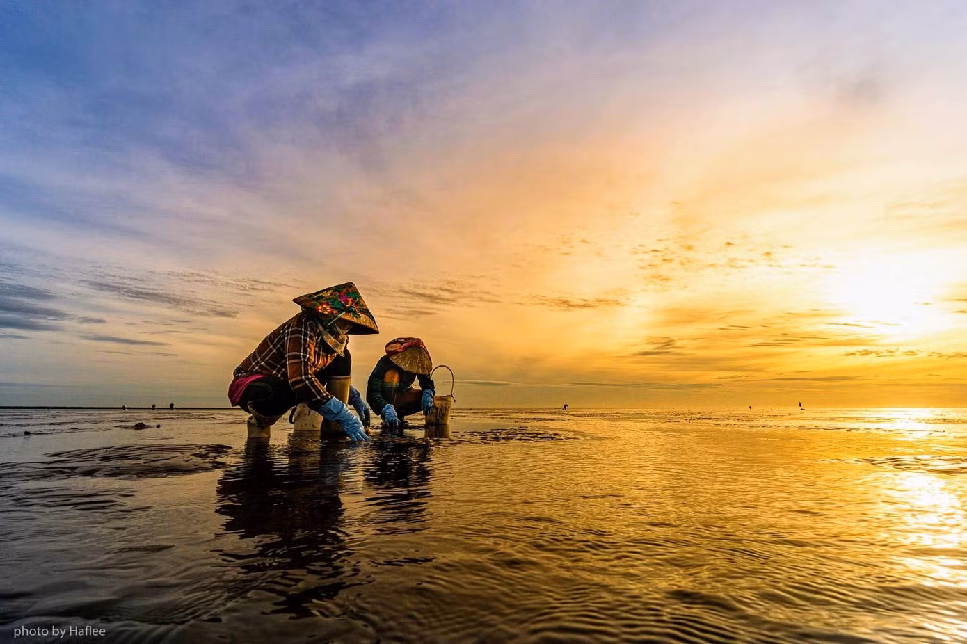 Dưới vẻ đẹp huyền ảo của ánh bình minh, người lao động hiện lên với vẻ đẹp bình dị, gần gũi, cần mẫn, tỉ mỉ trong công cuộc mưu sinh. Yếu tố người và cảnh hòa quyện, tạo nên một bức tranh thiên nhiên và con người thân thiện trong mắt "người lạ ghé qua". Ảnh: Haf Lee