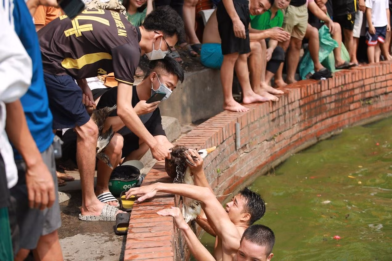 Sự tương tác giữa người chơi và khán giả sau khi đã bắt được vịt.