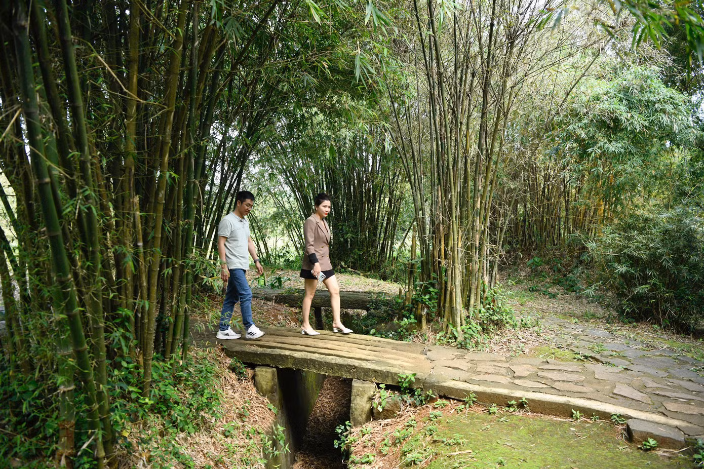 Trên mặt đất vẫn còn vô số hố bom đạn, bên cạnh những lũy tre, rừng cây che chở cho địa đạo.