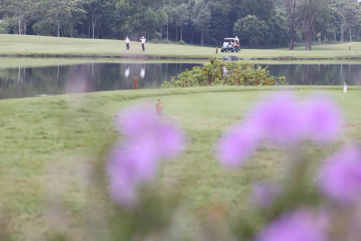 Không chỉ bẫy nước, các golfer còn phải tìm cách tránh những bẫy cát dày được bố trí quanh green hẹp và dốc.