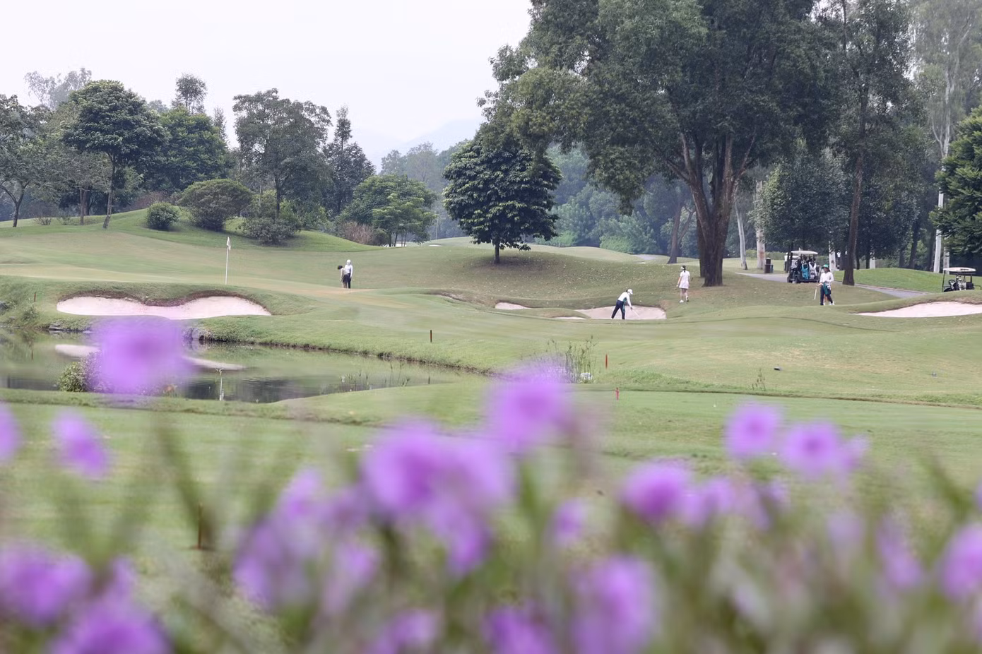 Không chỉ bẫy nước, các golfer còn phải tìm cách tránh những bẫy cát dày được bố trí quanh green hẹp và dốc.