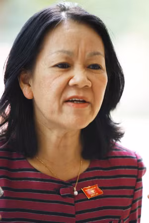 Bà Trương Thị Mai. Ảnh: Hồng Vĩnh