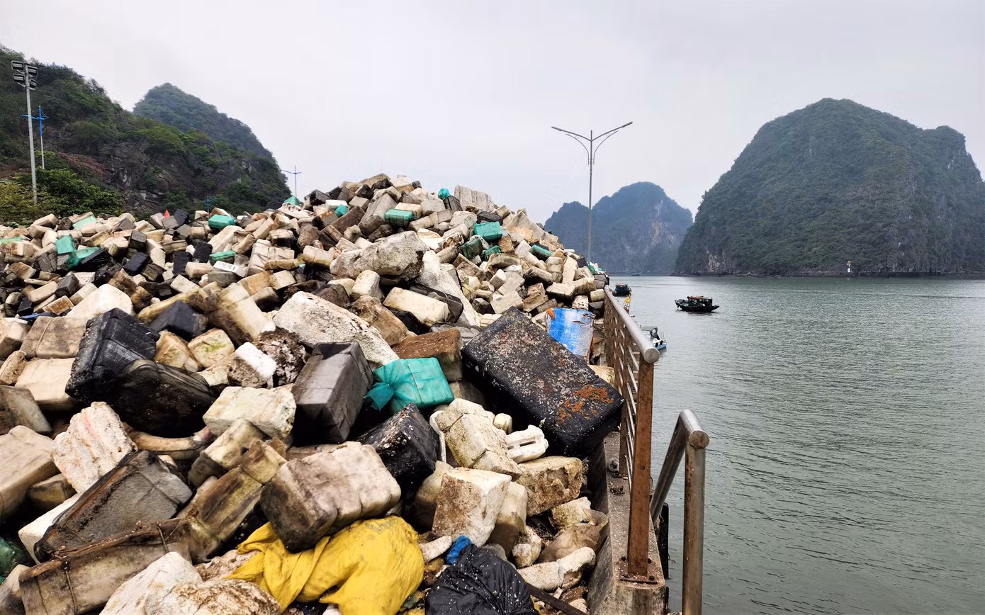 Đây là hậu quả của việc ngư dân tự tháo dỡ lồng bè nuôi trồng thủy sản trái phép trên vịnh nhưng không có sự giám sát của chính quyền địa phương khiến rác thải bị phát tán gây nên sự cố ô nhiễm môi trường vịnh nhiều ngày qua.
