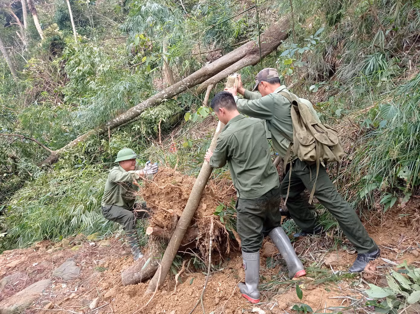 "Chắc chắn sẽ phải mất rất nhiều năm nữa Yên Tử mới có thể phục hồi được phong cảnh núi non hùng vĩ như trước đây. Cơn bão quá mạnh, thiệt hại quá lớn. Rất mong Yên Tử sớm phục hồi để du khách thập phương lại được chiêm ngưỡng màu xanh bạt ngàn của rừng thiêng", một du khách đến từ Hà Nội nói.
