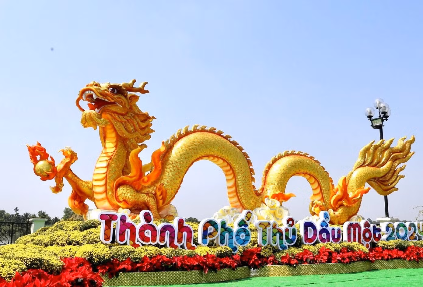 Rồng vàng đặt tại phố đi bộ Bạch Đằng sẽ được di chuyển đến Hội trại tòng quân, cách 5,6km.