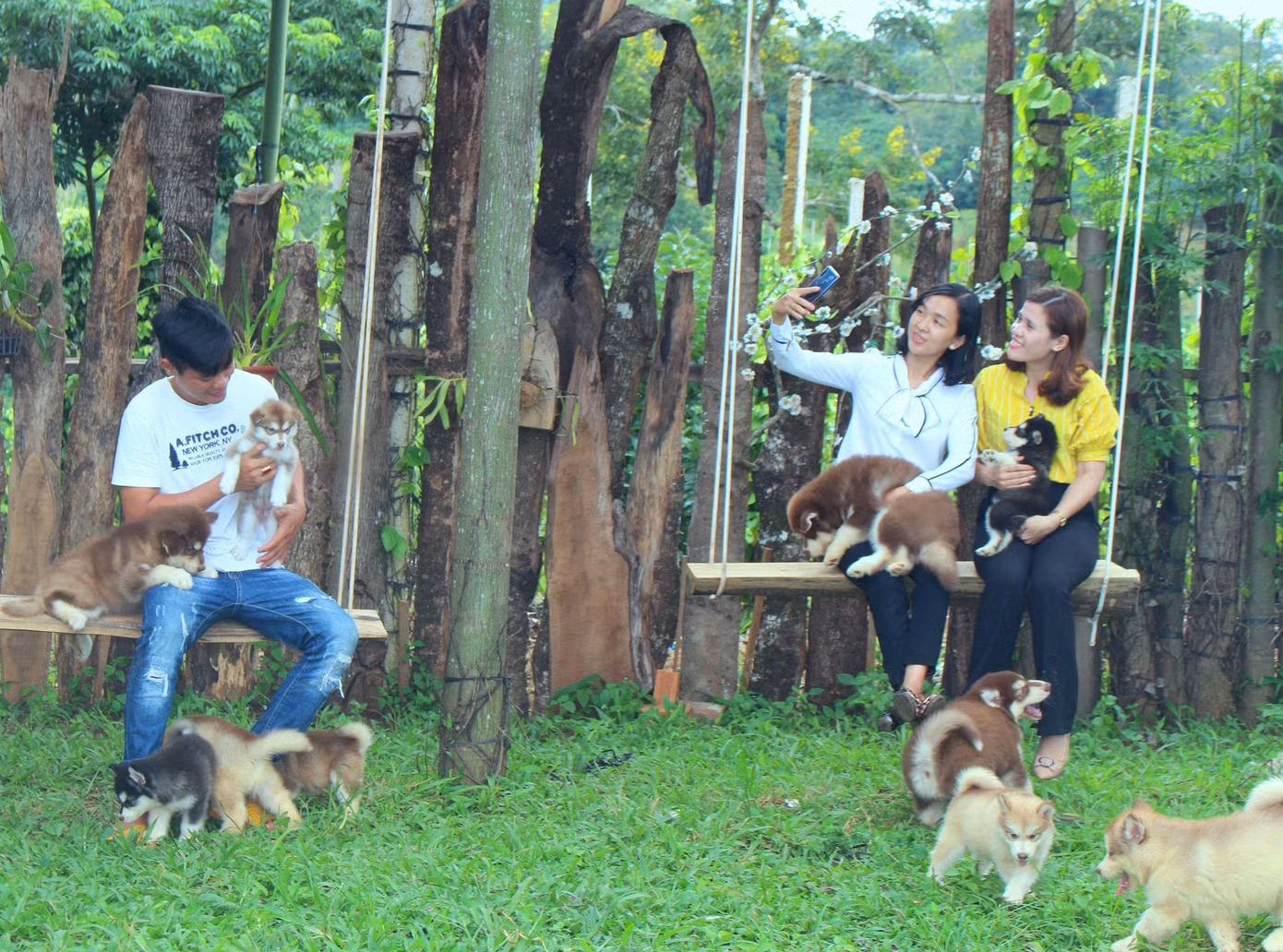 Đến quán uống cà phê, khách được chơi đùa các thú cưng