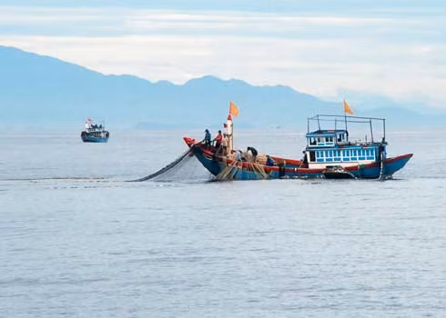 Ngư dân đánh bắt cá trên vùng biển đảo Lý Sơn (Quảng Ngãi). Ảnh: Trí Tín