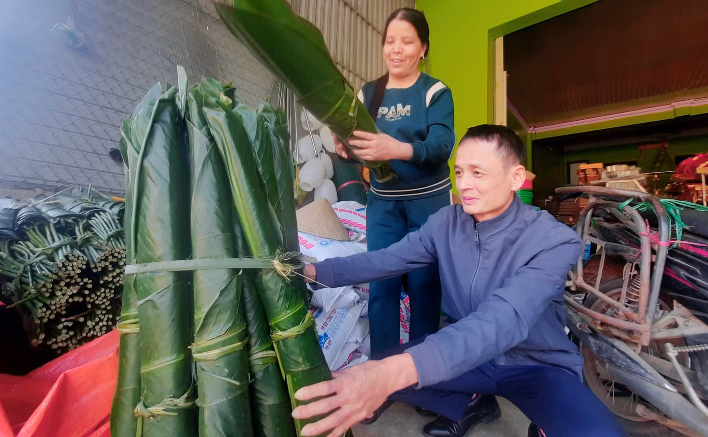 Hiện nay, gia đình anh Kính thu nhập 1 triệu đồng/ngày từ vườn lá dong.