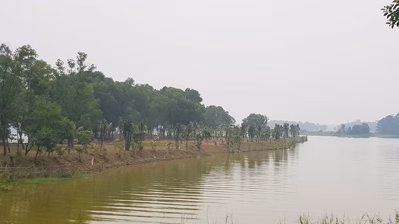 Dự án 'xẻ thịt' hồ Đồng Mô vẫn đổ đất thi công trong quá trình thanh tra ảnh 7