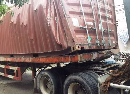 Cây đa cổ thụ gần 100 tuổi bị xe container húc đổ ảnh 2