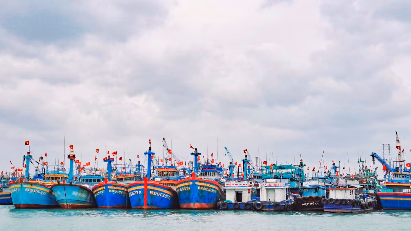 Bình Định sẽ di dời toàn bộ tàu neo đậu tại cảng cá Quy Nhơn về đầm Đề Gi. Ảnh: Trương Định