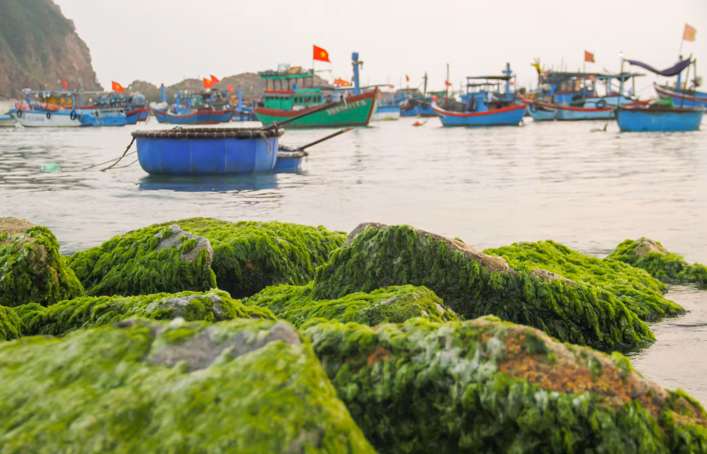 Vẻ đẹp làng chài Nhơn Hải. Ảnh: Trương Định
