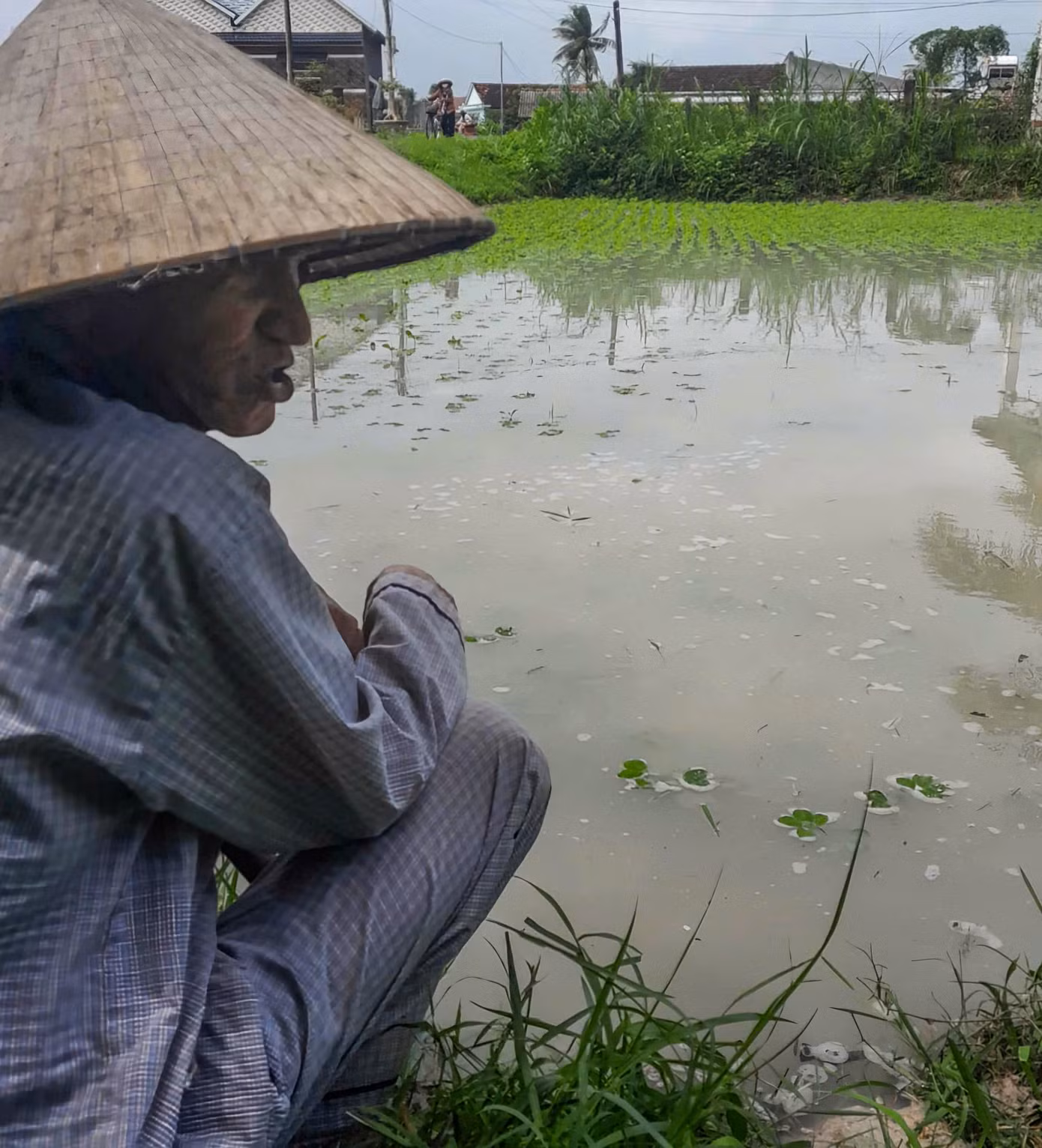Người dân ở Cát Hiệp bên diện tích đậu phộng bị ngập trong biển nước. Ảnh: Trương Định