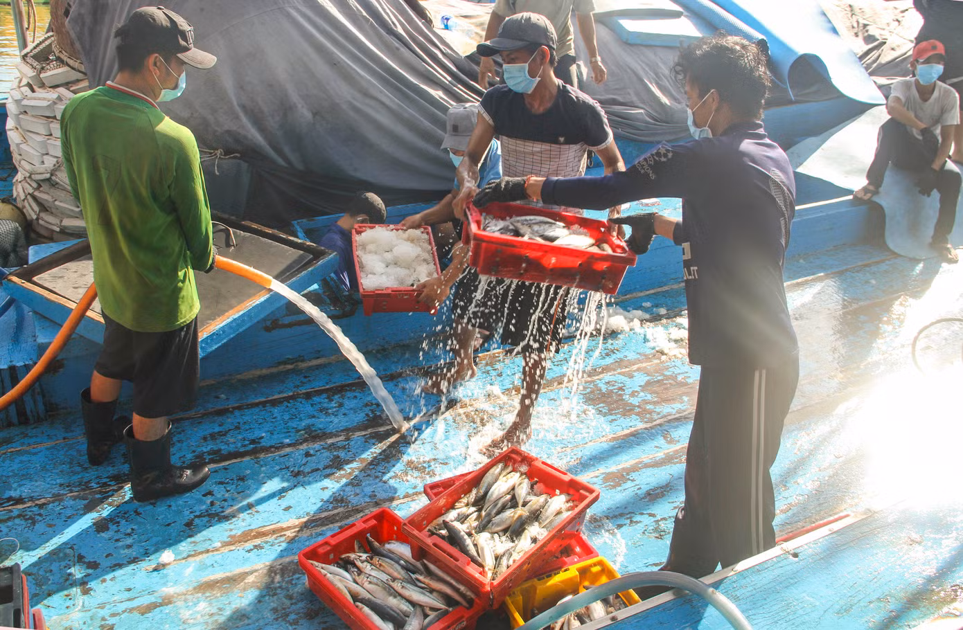 Tàu thuyền vào cảng cá Quy Nhơn để bán cá. Ảnh: Trương Định