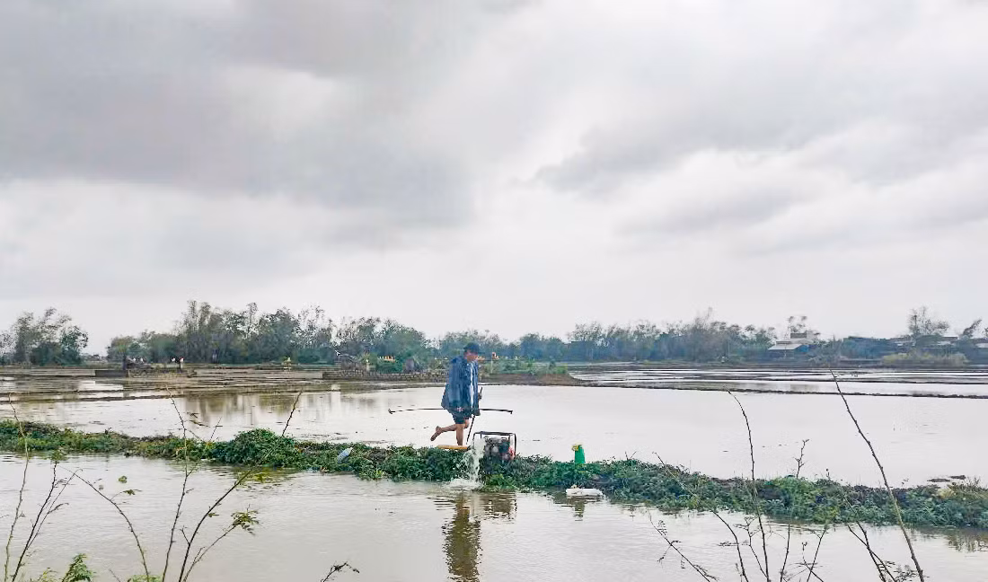 Nông dân cố gắng bơm nước ra khỏi ruộng. Ảnh: Trương Định.