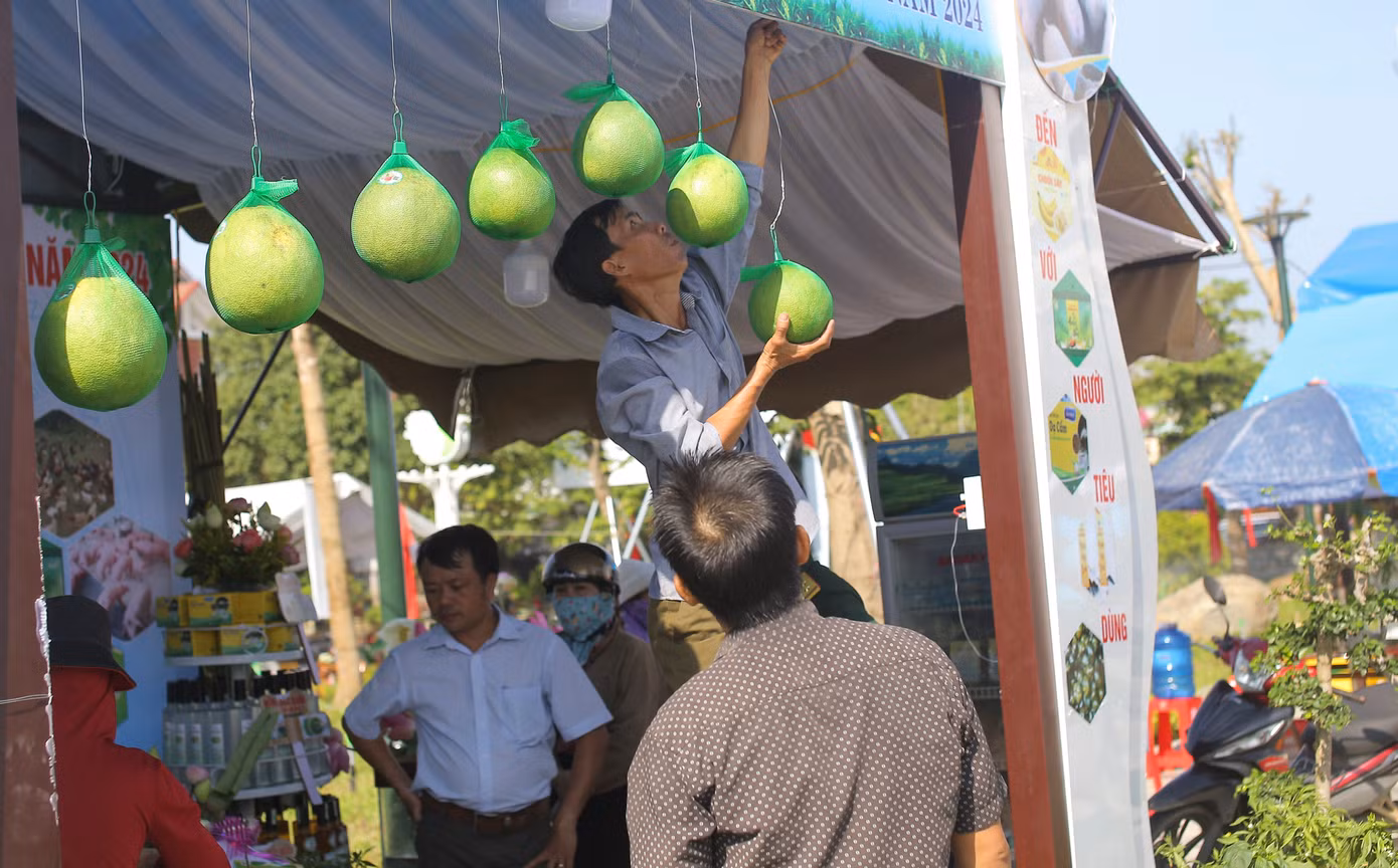 Hoài Ân là một huyện trung du, thuần nông, được thiên nhiên ưu đãi với điều kiện khí hậu, thổ nhưỡng thuận lợi. Được bao bọc bởi hai dòng sông Kim Sơn và An Lão cùng 23 công trình hồ chứa nước, là điều kiện và nền tảng vững chắc để phát triển nông nghiệp toàn diện, nhất là các loại cây ăn quả và chăn nuôi gia súc, gia cầm. Ảnh: Trương Định Hoài Ân là một huyện trung du, thuần nông, được thiên nhiên ưu đãi với điều kiện khí hậu, thổ nhưỡng thuận lợi. Được bao bọc bởi hai dòng sông Kim Sơn và An Lão cùng 23 công trình hồ chứa nước, là điều kiện và nền tảng vững chắc để phát triển nông nghiệp toàn diện, nhất là các loại cây ăn quả và chăn nuôi gia súc, gia cầm. Ảnh: Trương Định