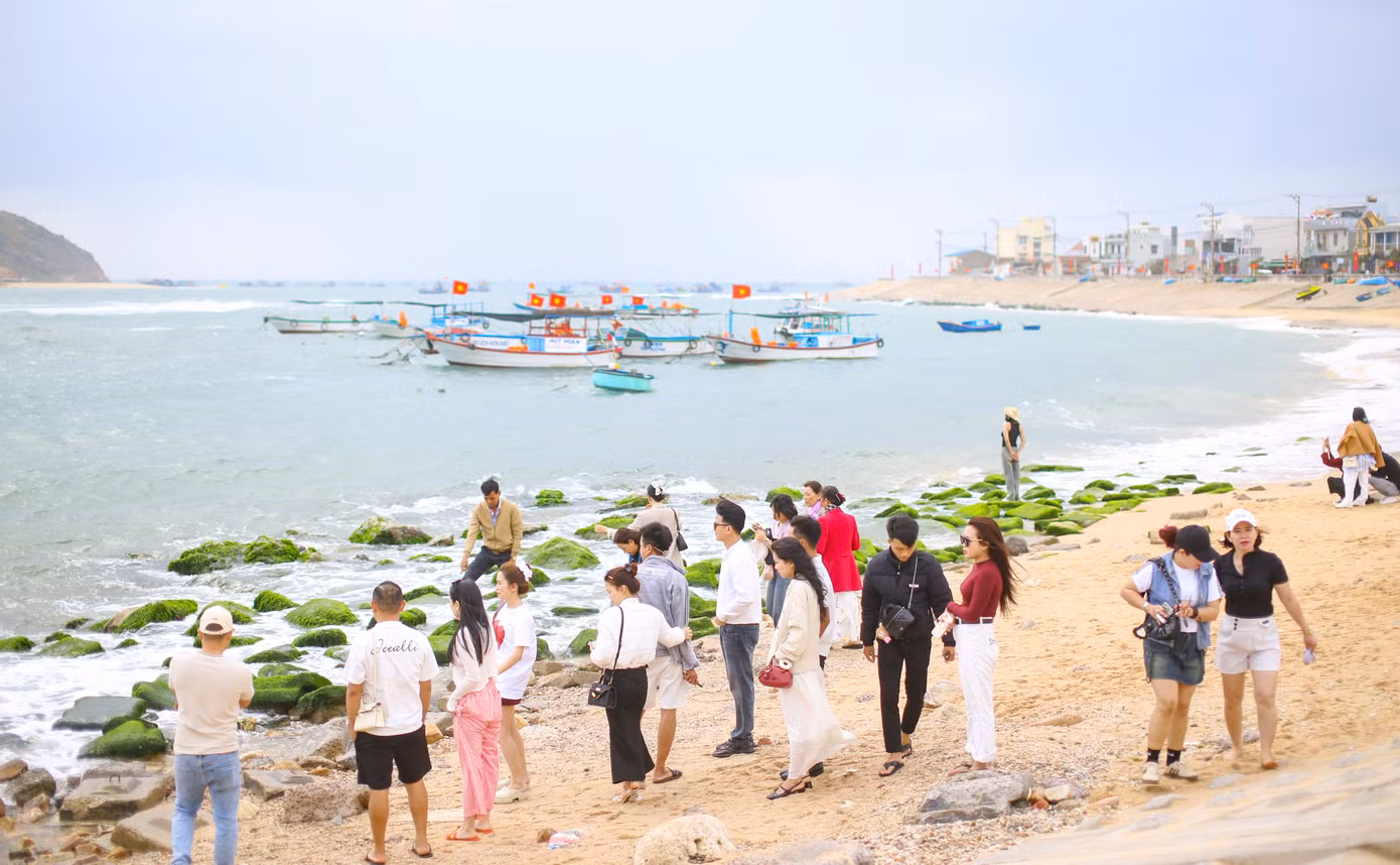 Ngay từ sáng sớm đã có rất đông du khách, giới trẻ tìm đến bãi đá rêu xanh ở Nhơn Hải để chờ tham quan, check-in.