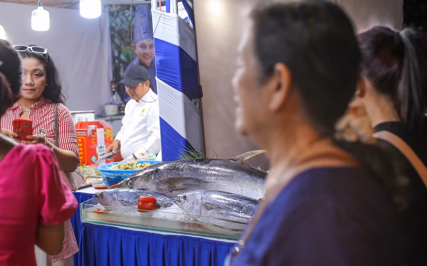 Cá ngừ đại dương Bình Định.