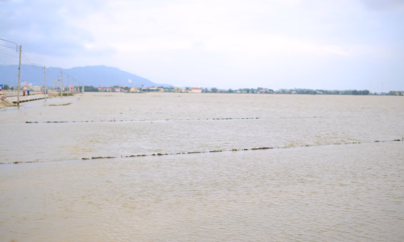 Tương tự, gia đình ông Lê Xuân Ngọc Hậu 50 tuổi, thôn Bình Lâm có 4 sào ruộng. Hôm 10/12 sạ đợt đầu, khi vừa xuống giống thì gặp mưa lớn kéo dài khiến ruộng bị ngập trắng, 40 kg giống bị cuốn trôi và hư hỏng. Ảnh: Trương Định.