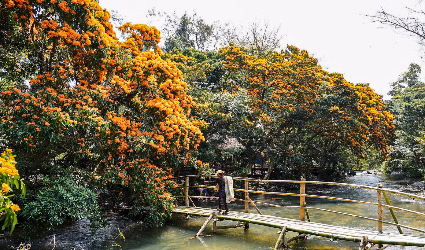 Để tạo điều kiện phục vụ đi lại cho người dân, đồng thời kết nối để phát triển du lịch, tỉnh Bình Định đã đầu tư một tuyến đường dẫn thẳng vào suối Tà Má. Nơi đây cũng được địa phương quy hoạch trở thành điểm du lịch cộng đồng trong thời gian tới, nhằm thúc đẩy phát triển kinh tế - xã hội của địa phương.