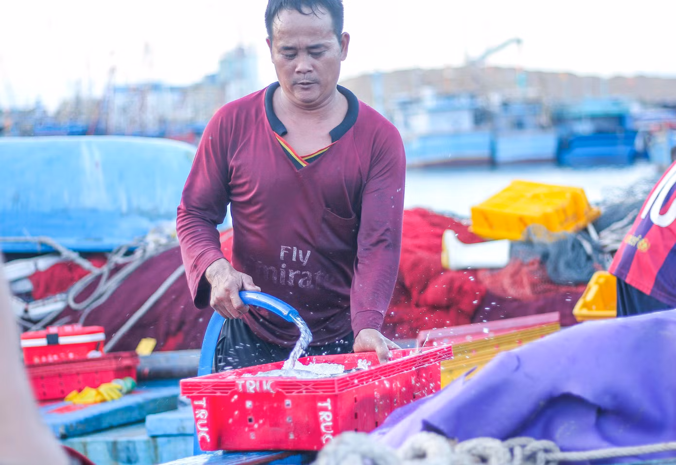 Cũng theo Sở NN&amp;PTNT tỉnh Bình Định, đối với các tàu cá khai thác thủy sản ở vùng khơi có khoảng 2.442 tàu hoạt động gồm các nghề chủ lực (nghề câu cá ngừ: có khoảng 877 tàu; nghề lưới vây có khoảng 925 tàu; nghề mành chụp có khoảng 310 tàu; nghề Câu mực có khoảng 213 tàu; các nghề khác như lưới rê, lưới kéo, nghề mành, hậu cần… có khoảng 117 tàu. Ảnh: Trương Định