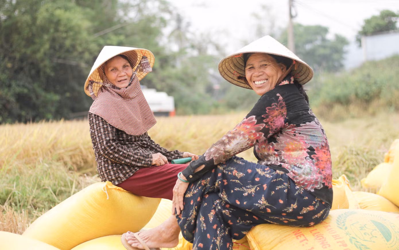 Năm nay do thời tiết thất thường nên năng suất lúa không đạt so với mọi năm nhưng nhìn những cánh đồng chín vàng cũng đem lại niềm vui cho người nông dân. (Ảnh: Trương Định)