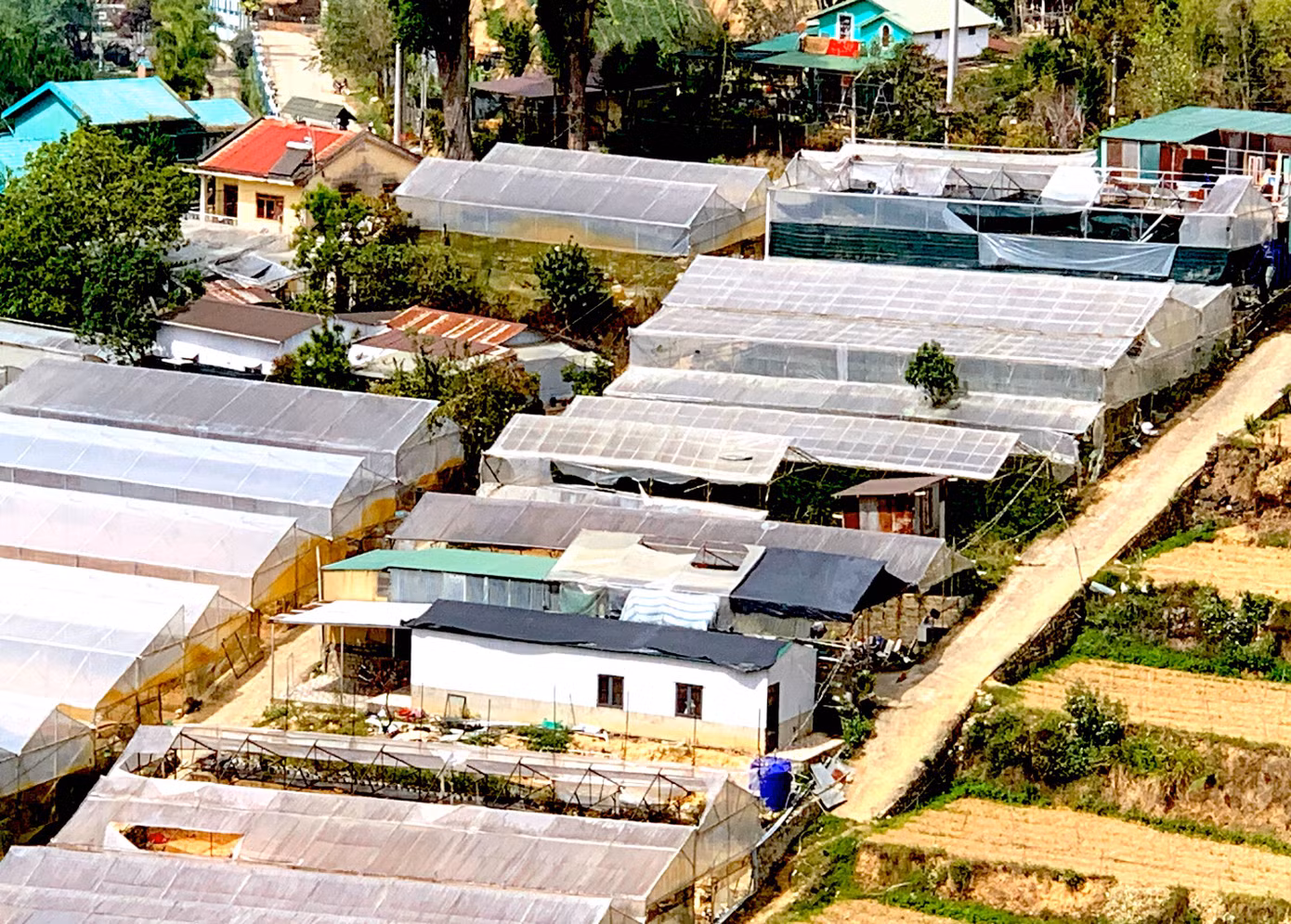 Nhà kính trong trung tâm Đà Lạt.