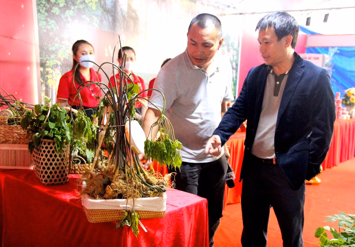 Phiên chợ sâm Ngọc Linh đang được tổ chức lần đầu tiên ở huyện Tu Mơ Rông với 44 gian hàng trưng bày giới thiệu về các sản phẩm (sâm Ngọc Linh cùng các loại dược liệu khác). Đây là phiên chợ uy tín khi đầu vào được kiểm soát nghiêm ngặt. Trong ảnh, ông Trần Hoàn- Chủ tịch HĐQT Công ty Cổ phần Sâm Ngọc Linh Kon Tum đang giải thích, hướng dẫn người tiêu dùng cách phân biệt loại sâm "đội lốt" sâm Ngọc Linh. Được biết, nhiều người tiêu dùng không am hiểu đã mua nhầm sâm trồng ở Lai Châu (giá chỉ vài trăm nghìn đồng/lạng) với giá sâm Ngọc Linh (19 triệu đồng/lạng). Theo ông Hoàn, sâm trồng ở Lai châu có thân cây to, mọng nước hơn sâm Ngọc Linh. Sâm Lai Châu cũng không có mắt như sâm Ngọc Linh với các mắt được mọc so le. Ngoài ra, có thể nhận thấy rõ củ sâm Ngọc Linh có hình thù khẳng khiu, cứng cáp, trong khi củ sâm Trung Quốc to, tròn. Khi ngửi thì sâm Ngọc Linh có mùi thơm mát, dễ chịu. Phiên chợ sâm Ngọc Linh đang được tổ chức lần đầu tiên ở huyện Tu Mơ Rông với 44 gian hàng trưng bày giới thiệu về các sản phẩm (sâm Ngọc Linh cùng các loại dược liệu khác). Đây là phiên chợ uy tín khi đầu vào được kiểm soát nghiêm ngặt. Trong ảnh, ông Trần Hoàn- Chủ tịch HĐQT Công ty Cổ phần Sâm Ngọc Linh Kon Tum đang giải thích, hướng dẫn người tiêu dùng cách phân biệt loại sâm "đội lốt" sâm Ngọc Linh. Được biết, nhiều người tiêu dùng không am hiểu đã mua nhầm sâm trồng ở Lai Châu (giá chỉ vài trăm nghìn đồng/lạng) với giá sâm Ngọc Linh (19 triệu đồng/lạng). Theo ông Hoàn, sâm trồng ở Lai châu có thân cây to, mọng nước hơn sâm Ngọc Linh. Sâm Lai Châu cũng không có mắt như sâm Ngọc Linh với các mắt được mọc so le. Ngoài ra, có thể nhận thấy rõ củ sâm Ngọc Linh có hình thù khẳng khiu, cứng cáp, trong khi củ sâm Trung Quốc to, tròn. Khi ngửi thì sâm Ngọc Linh có mùi thơm mát, dễ chịu.