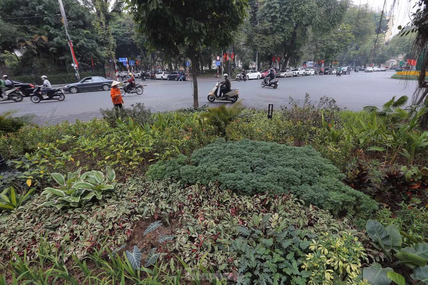 Nhiều chuyên gia đánh giá cao dự án cải tạo Vườn hoa Diên Hồng và tin tưởng dự án sẽ mang đến cho người dân Hà Nội một không gian công cộng có chất lượng cao. Ảnh: Duy Phạm