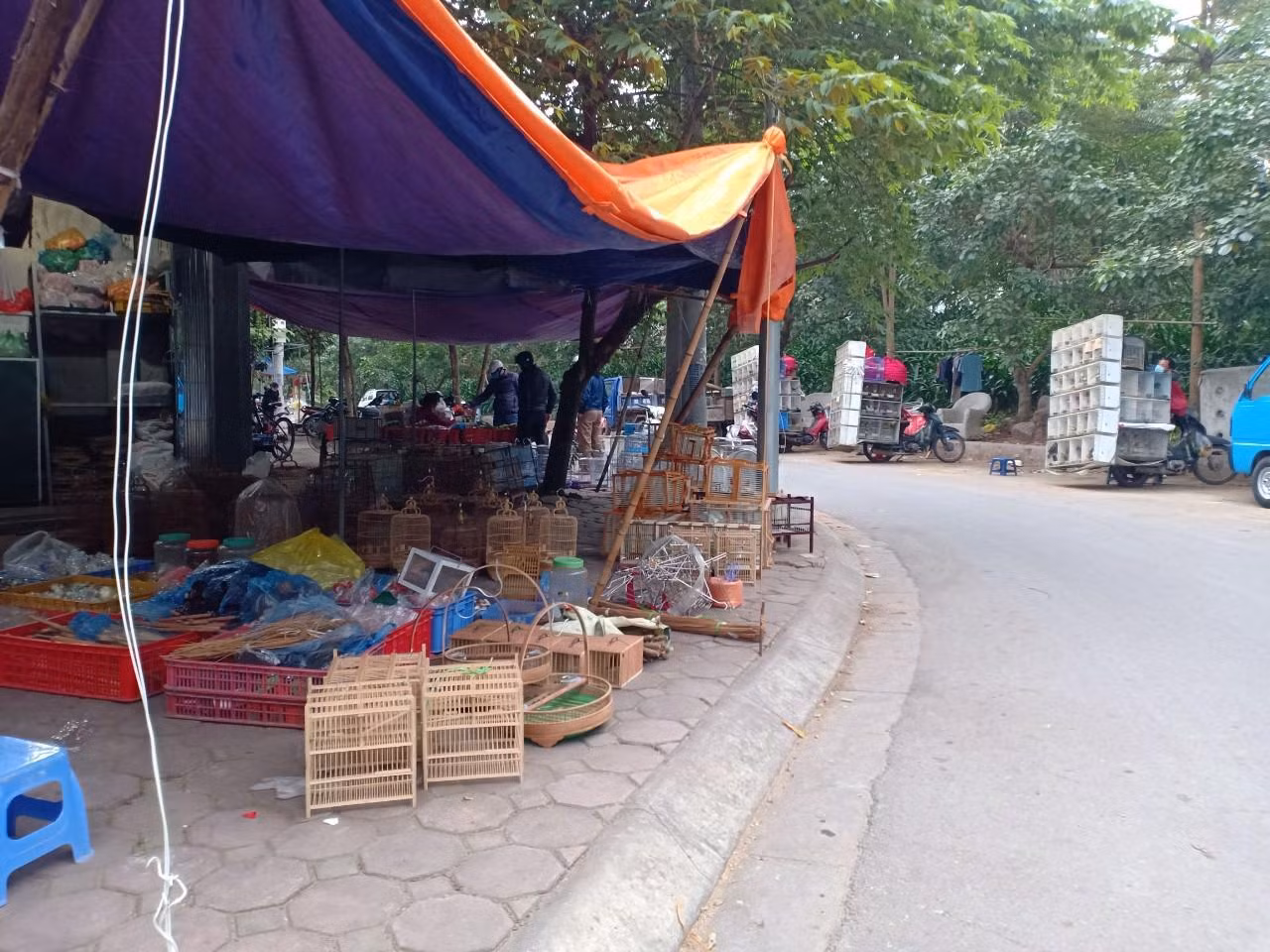 Một người dân kinh doanh chim cảnh cho biết các cửa hàng bán chim cảnh đã có từ trước Trước đây, con đường này rất xấu vì là đường đất, nay được sửa sang thành đường nhựa nên “chợ chim" hoạt động tấp nập hơn.