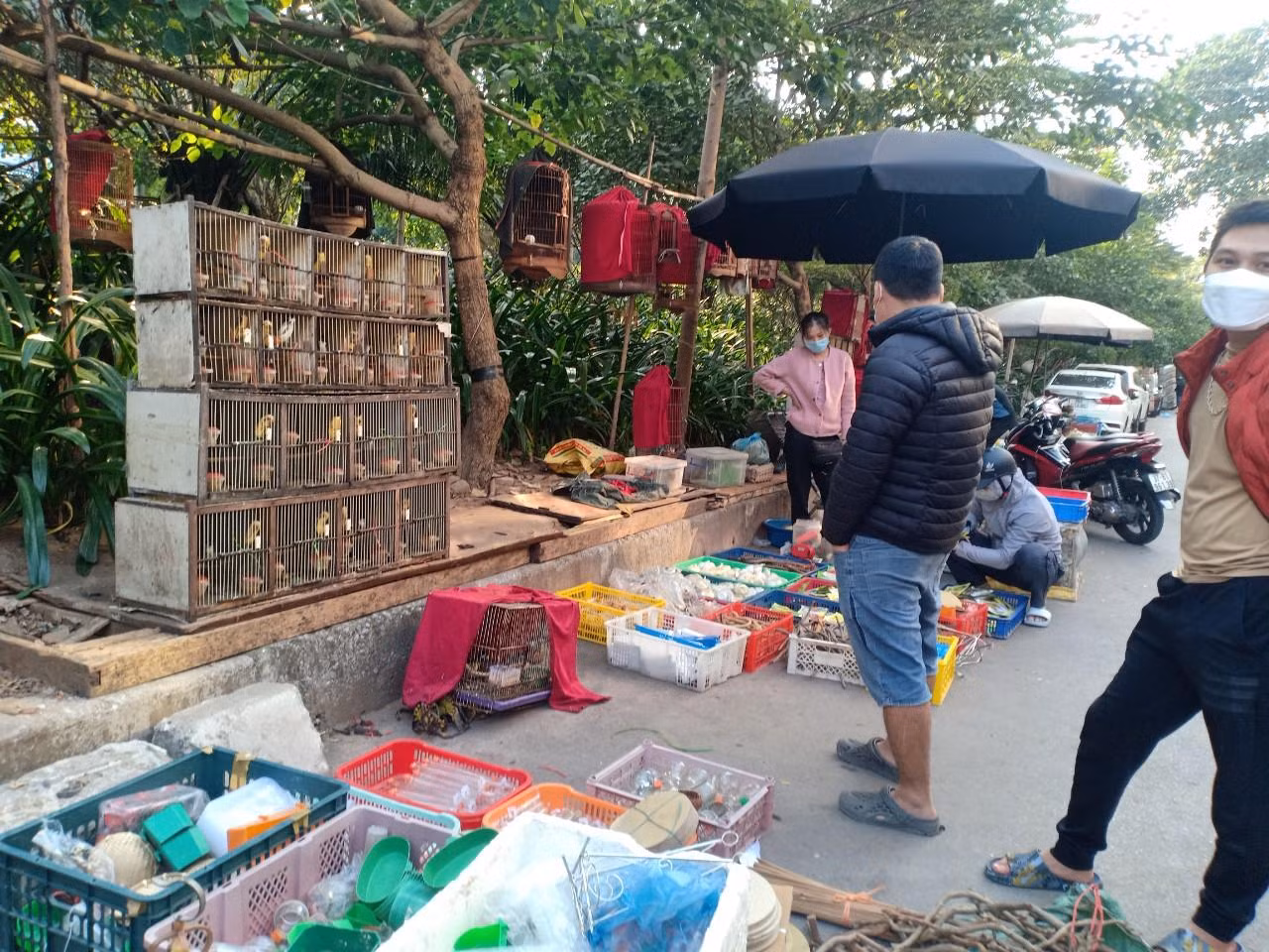 Dịch vụ ăn theo như lồng chim, thức ăn, vật dụng nuôi chim được bày bán tràn lan cả lòng đường.