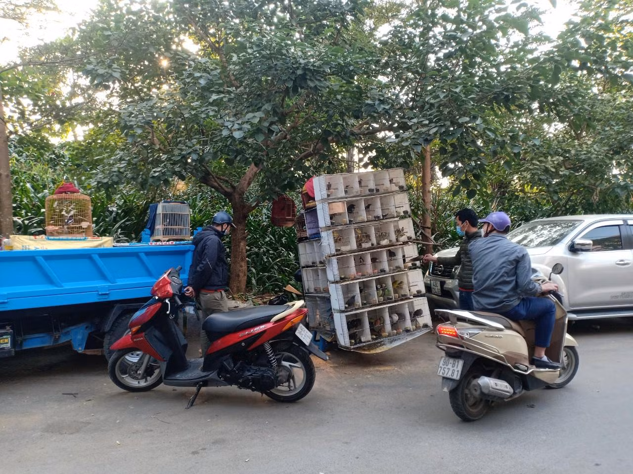 Chợ chim khiến con đường chỉ có chiều ngang khoảng 4m này càng bị thu hẹp, giao thông bị cản trở.