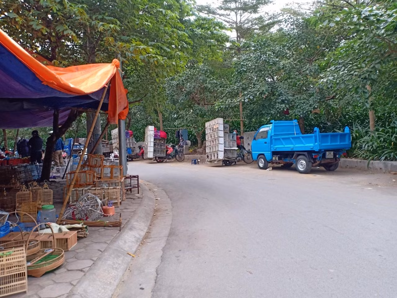 Chim được bày bán cả trên vỉa hè và lòng đường