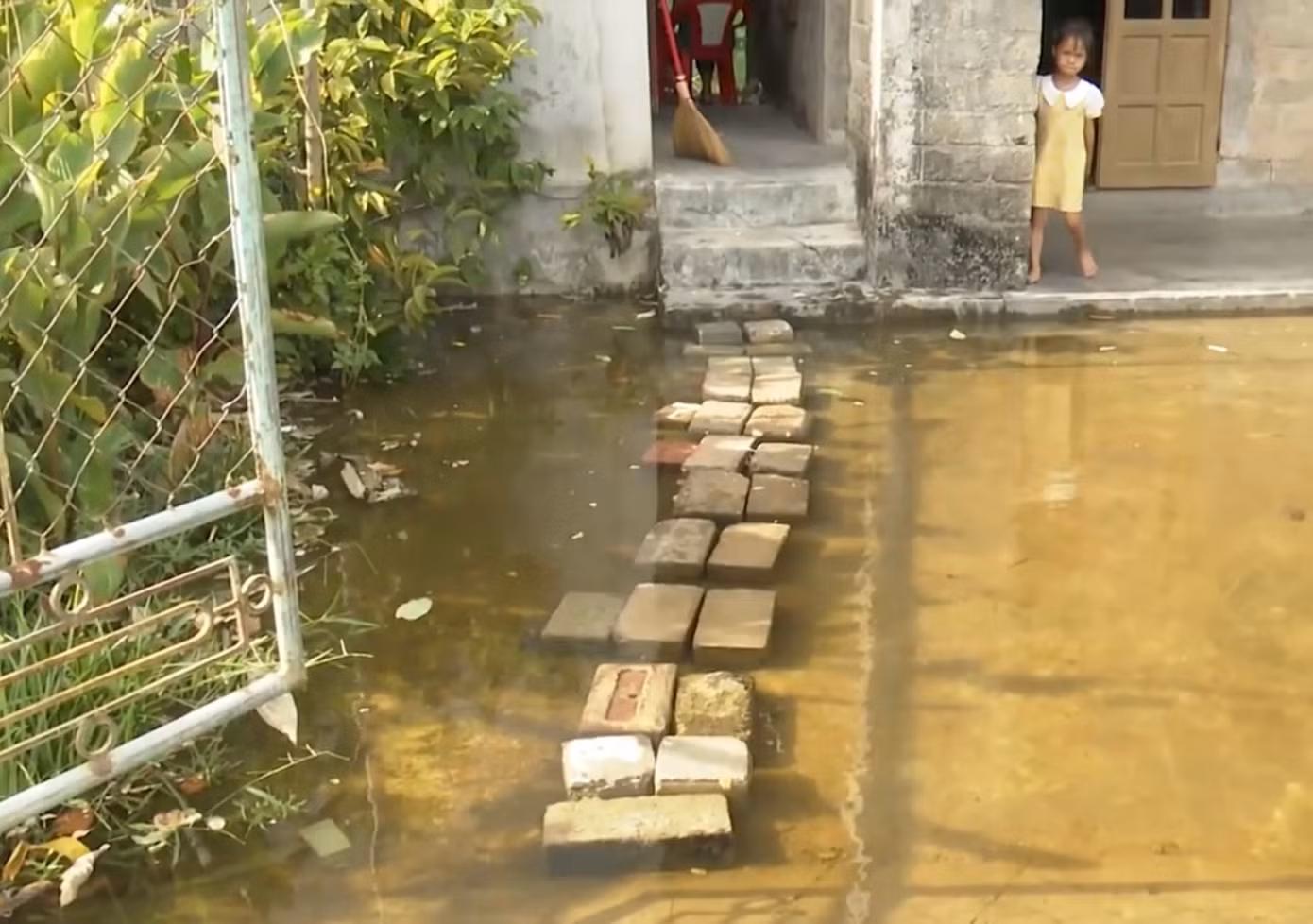 Nhiều hộ gia đình ở xã Quảng Sơn phải kê gạch làm lối đi trong sân, nhằm tránh bệnh ngoài da.