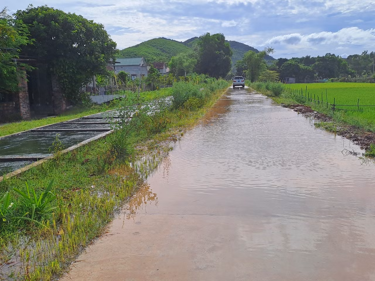 Ông Trần Hồng Quảng, Giám đốc Công ty TNHH MTV Khai thác công trình thuỷ lợi Quảng Bình cho biết: Kể từ khi đập tràn Rào Nan được đầu tư hơn 350 tỉ đồng để nâng cấp, nước dồi dào hơn, trong lúc hệ thống kênh mương bị xuống cấp nên không đáp ứng được công suất, khiến nước tràn ra ngoài. Công ty đã báo cáo lên tỉnh và trình phương án, trước mắt đầu tư 15 tỉ đồng để nâng bờ kênh mương lên thêm khoảng 60cm.