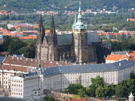 Lâu đài Malbork nổi tiếng nhất Ba Lan rộng 143.591 m2, được xây hoàn toàn bằng gạch theo phong cách kiến trúc Gôtích lớn nhất thế giới. Mehrangarh Fort rộng 81.227 m2, một pháo đài hàng nghìn năm tuổi tại Ấn Độ. Bao quanh là bức tường kiên cố có chiều dày 6m, bên trong là cung điện nguy nga với kiến trúc tinh xảo. Tại đây, bạn có thể thấy nhiều hiện vật lịch sử của những vị vua. Prague Castle rộng 66.761 m2 là lâu đài thời trung cổ lớn nhất ở châu Âu và là nơi ngự trị cổ xưa của các vị vua Séc trong suốt các thời đại. Đây là quần thể các tòa nhà, cung điện, thánh đường lộng lẫy và được xem là biểu tượng của cộng hòa Séc. Windsor Castle rộng 54.835 m2, là lâu đài lớn nhất, lâu đời nhất thế giới và là niềm tự hào lịch sử nước Anh. Lâu đài Hohensalzburg rộng 54523 m2 nằm tại thành phố Salzburg, Áo. Spis Castle rông 49485 m2 là một trong những lâu đài thời Trung cổ lớn nhất ở trung tâm châu Âu, tại miền đông Slovak Buda Castle rộng 44.674 m2 là lâu đài lịch sử của các vị vua Hungary tại Budapest. Himeji Castle rộng 41.468 m2 nằm ở trung tâm của thành phố Himeji, Nhật Bản. Thành cổ Aleppo rộng 39.804 m2, được coi là niềm tự hào của sa mạc, thành cổ Aleppo là một trong những lâu đài nổi tiếng nhất trong thế giới Ả Rập.