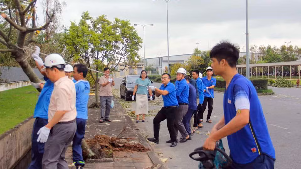 Đoàn thanh niên Khu Kinh tế Hải Phòng hỗ trợ các doanh nghiệp trồng lại cây xanh, tham gia khắc phục hậu quả sau bão.
