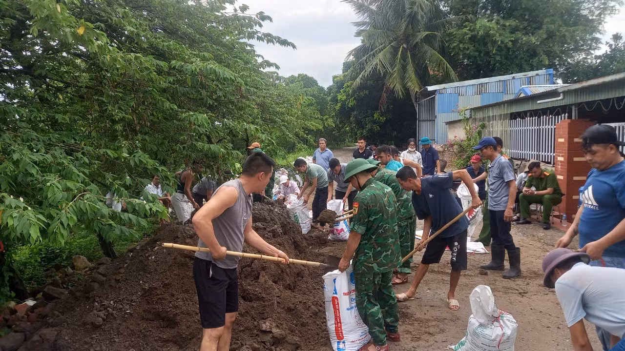 Tại Cát Bà, lực lượng bộ đội biên phòng phối hợp với các đơn vị liên ngành địa phương khẩn trương đóng bao đất, cát hỗ trợ người dân gia cố nhà cửa, trụ sở các cơ quan.