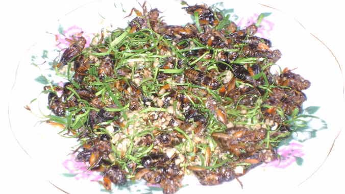 Gỏi dế còn trinh ảnh 1