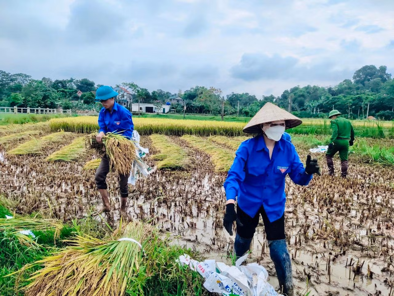 Dù thời tiết oi bức nhưng các bạn đoàn viên thanh niên vẫn rất nhiệt tình giúp đỡ người dân.