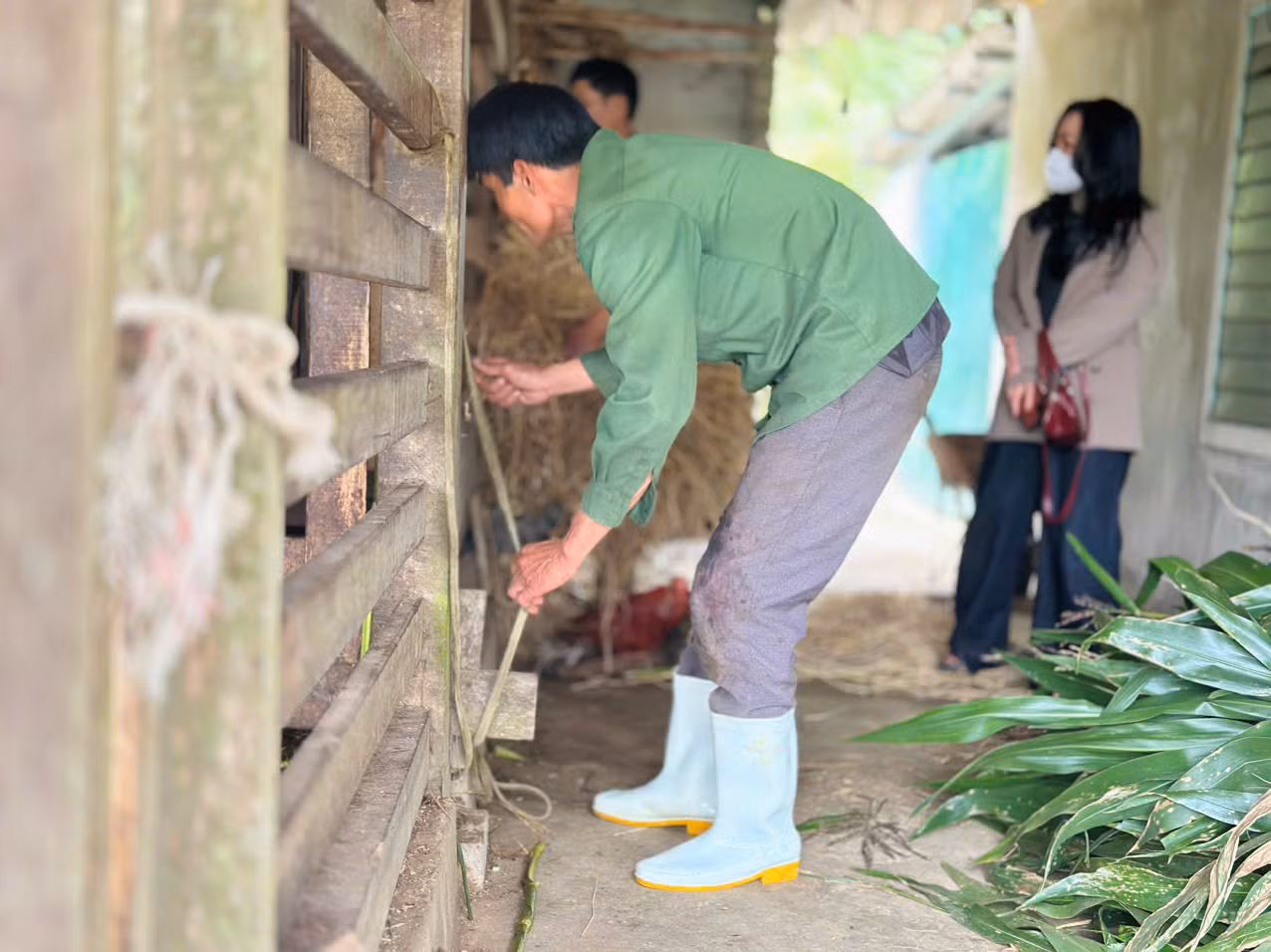 Với những người có kinh nghiệm, thời gian để cắt một cặp nhung cho một con hươu chừng 15 phút. Hươu sau khi cắt xong nhung, họ dùng rơm khô làm dây và lá chuối để cột cầm máu. Nghề đòi hỏi kỹ thuật cao, sức khoẻ tốt. Đặc biệt phải nhanh nhẹn ứng xử trong mọi tình huống, tránh trường hợp cắt hỏng nhung, làm gãy chân hươu của gia chủ.